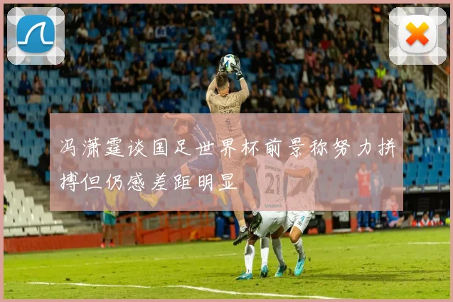冯潇霆谈国足世界杯前景称努力拼搏但仍感差距明显